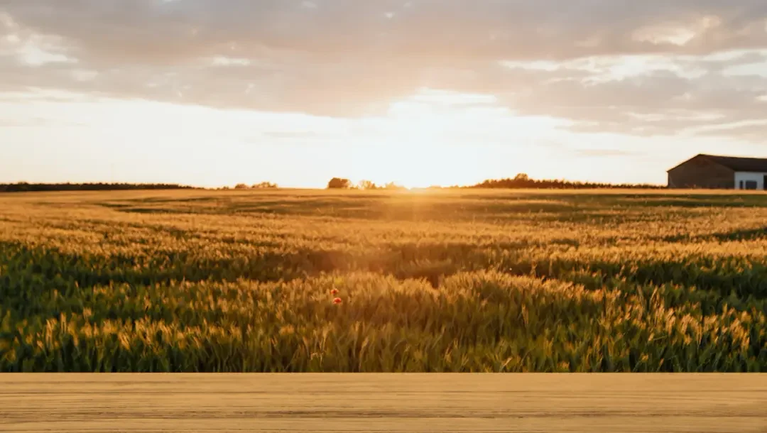When Should You Consider a Farm Auction?