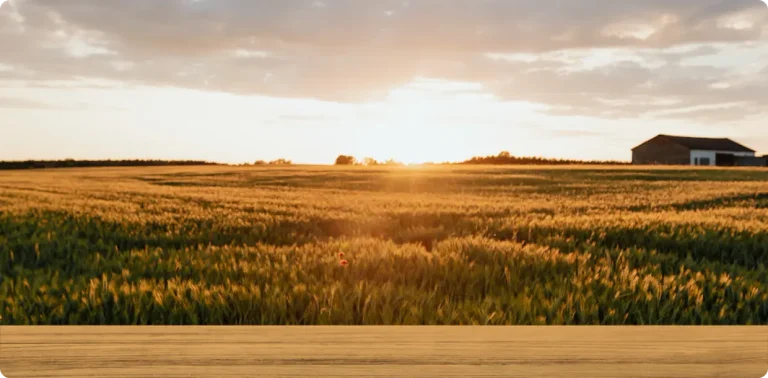 When Should You Consider a Farm Auction?